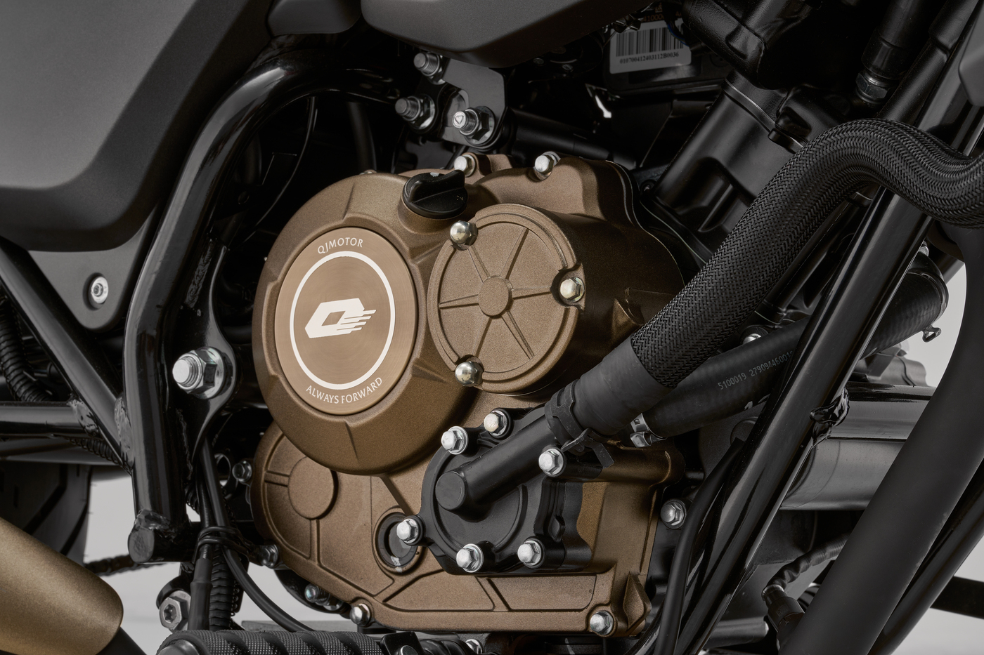 QJMOTOR SRV 125: Nahaufnahme des Motors mit bronzefarbenen Gehäusedeckeln und sichtbarer Rahmenstruktur.