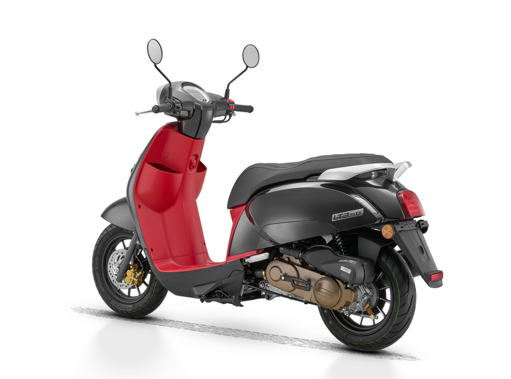 LTR 50